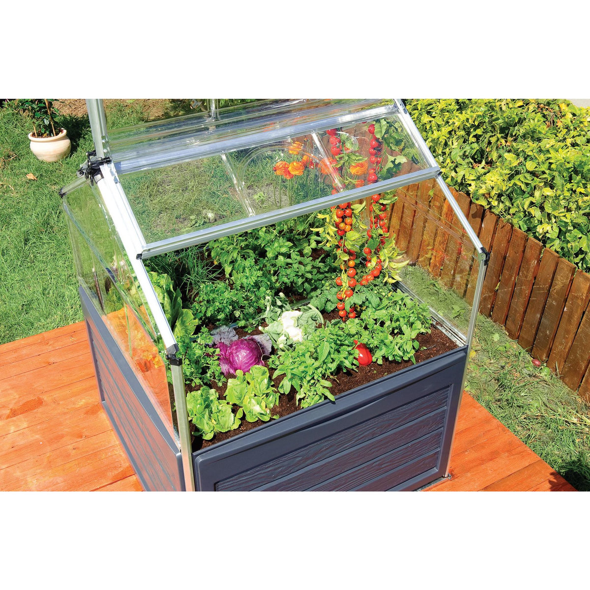 Canopia by PALRAM Mini-serre de jardin - Polycarbonate - 1,4m² - PLANT INN