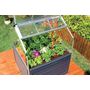 Voir la diapositive 5 : Canopia by PALRAM Mini-serre de jardin - Polycarbonate - 1,4m² - PLANT INN