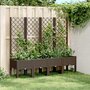 Voir la diapositive 1 : VIDAXL Jardiniere avec treillis marron 160x40x142 cm PP