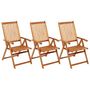 Voir la diapositive 2 : VIDAXL Chaises pliables de jardin lot de 3 avec coussins Bois d'acacia