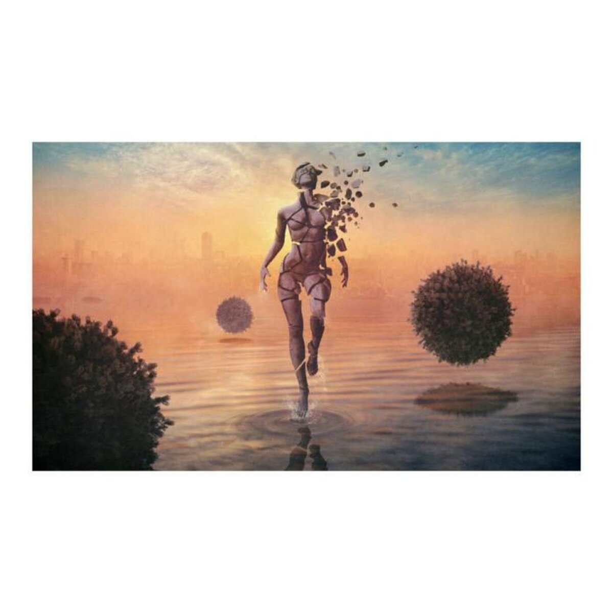 Paris Prix Papier Peint  Marcher sur l'Eau  270x450cm