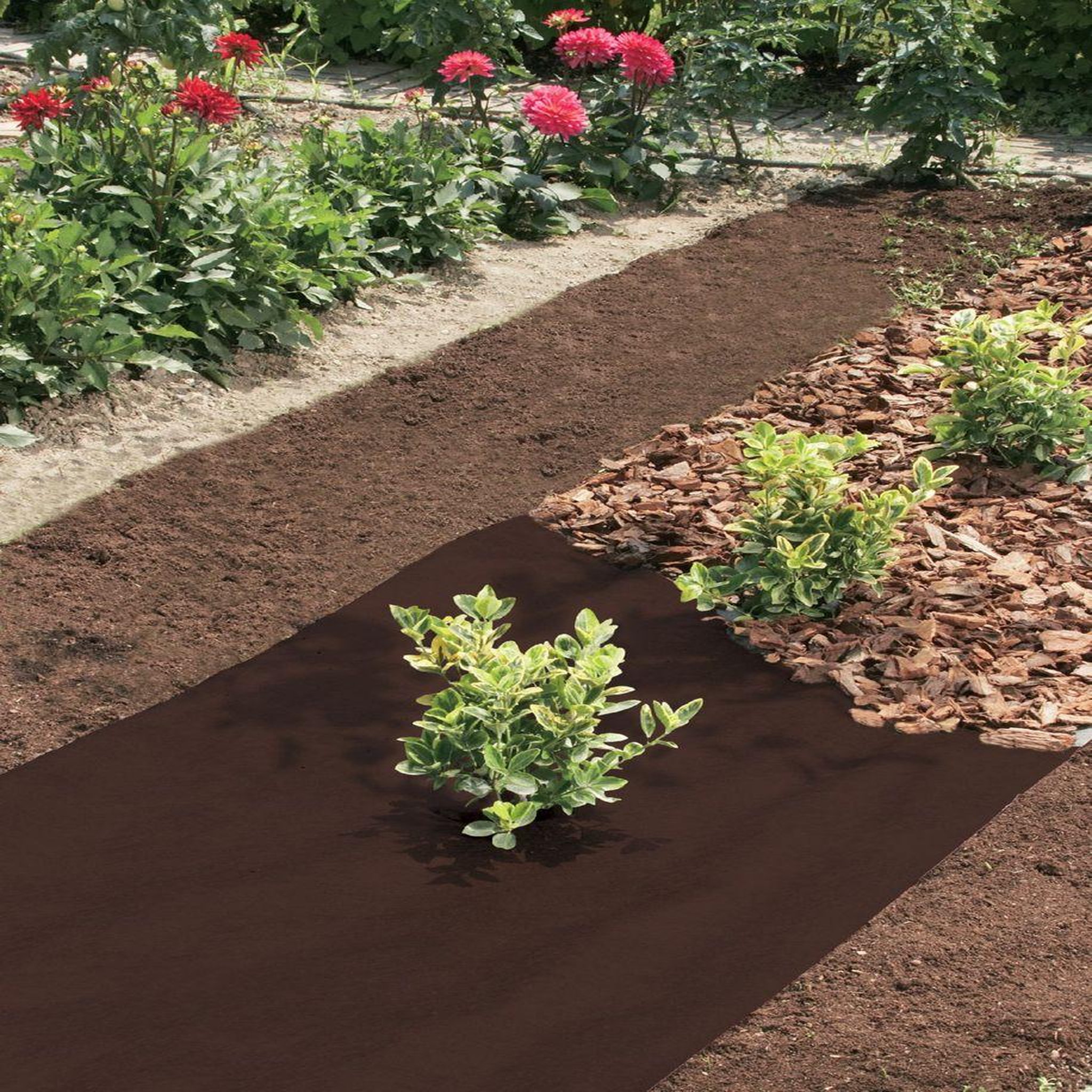 Nortene Feutre de paillage  Antiherbas Geotex  marron - 1,60 x 10 m