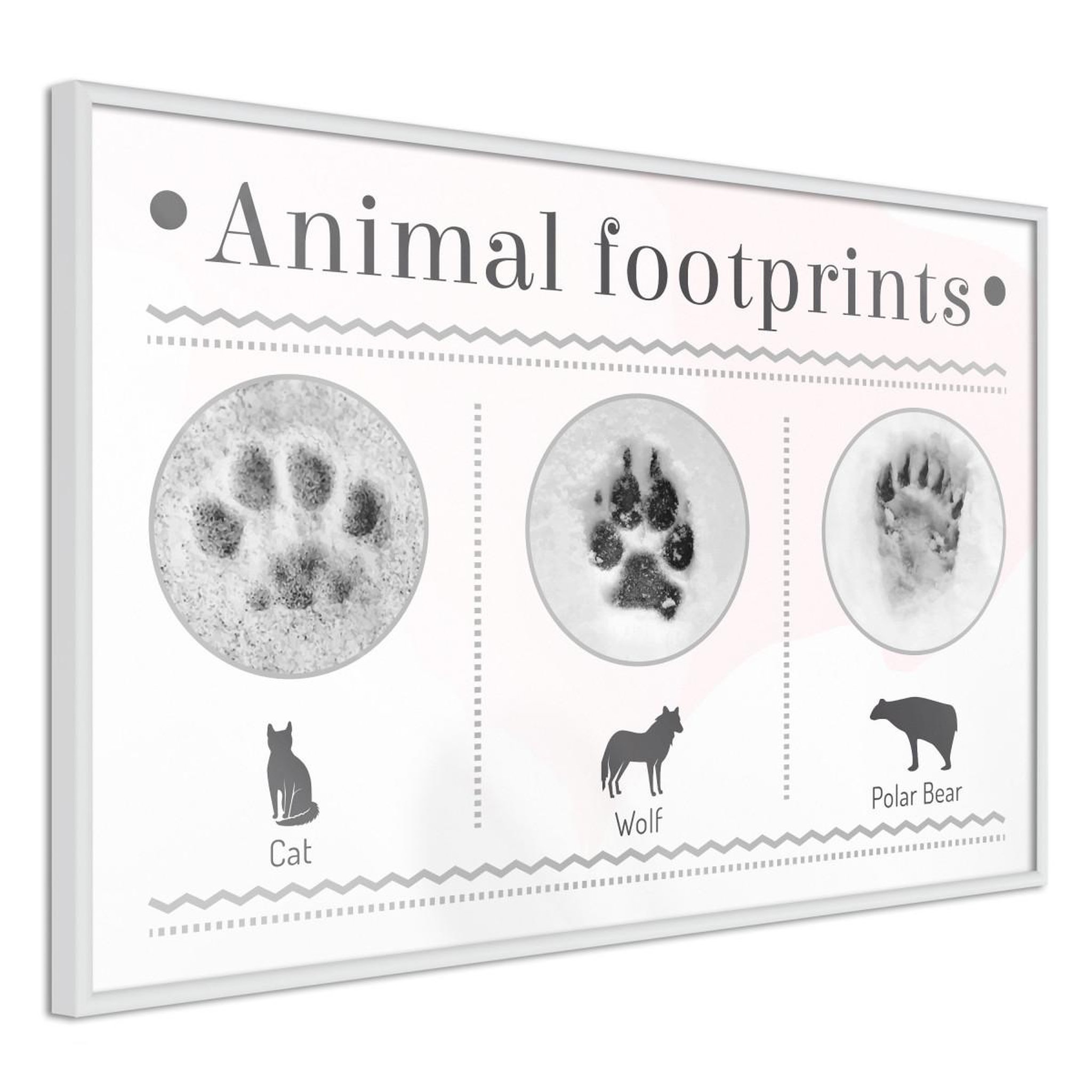 Paris Prix Affiche murale encadrée  how to recognize an animal