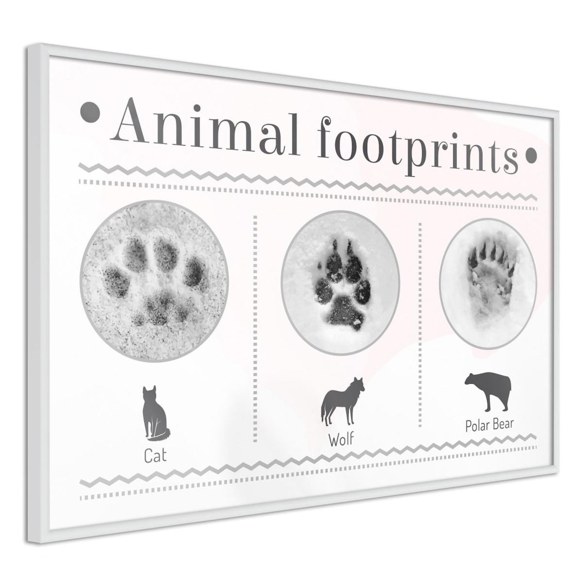 Paris Prix Affiche Murale Encadrée  How to Recognize an Animal
