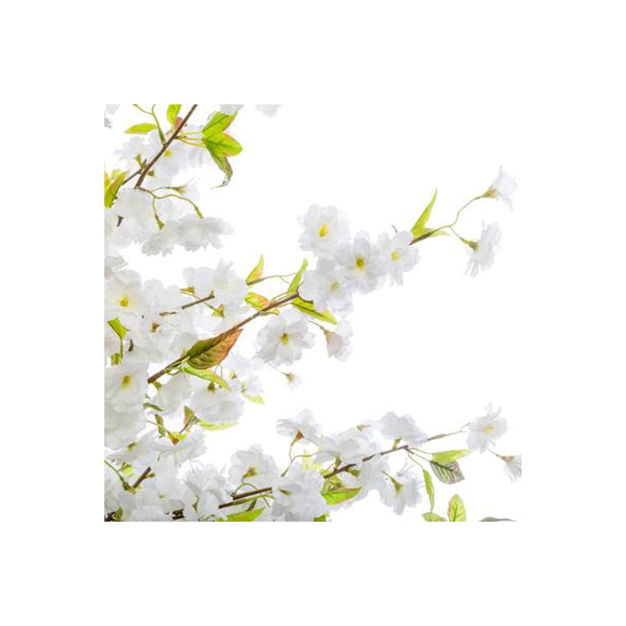 Voir la diapositive 2 : ATMOSPHERA Plante artificielle  cerisier  200cm blanc