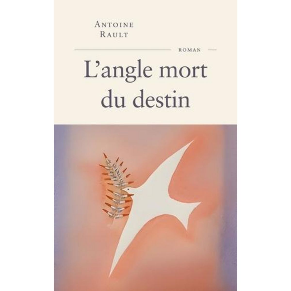 L'ANGLE MORT DU DESTIN, Rault Antoine