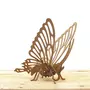 Graine créative Maquette papillon 3D en carton à monter soi-même