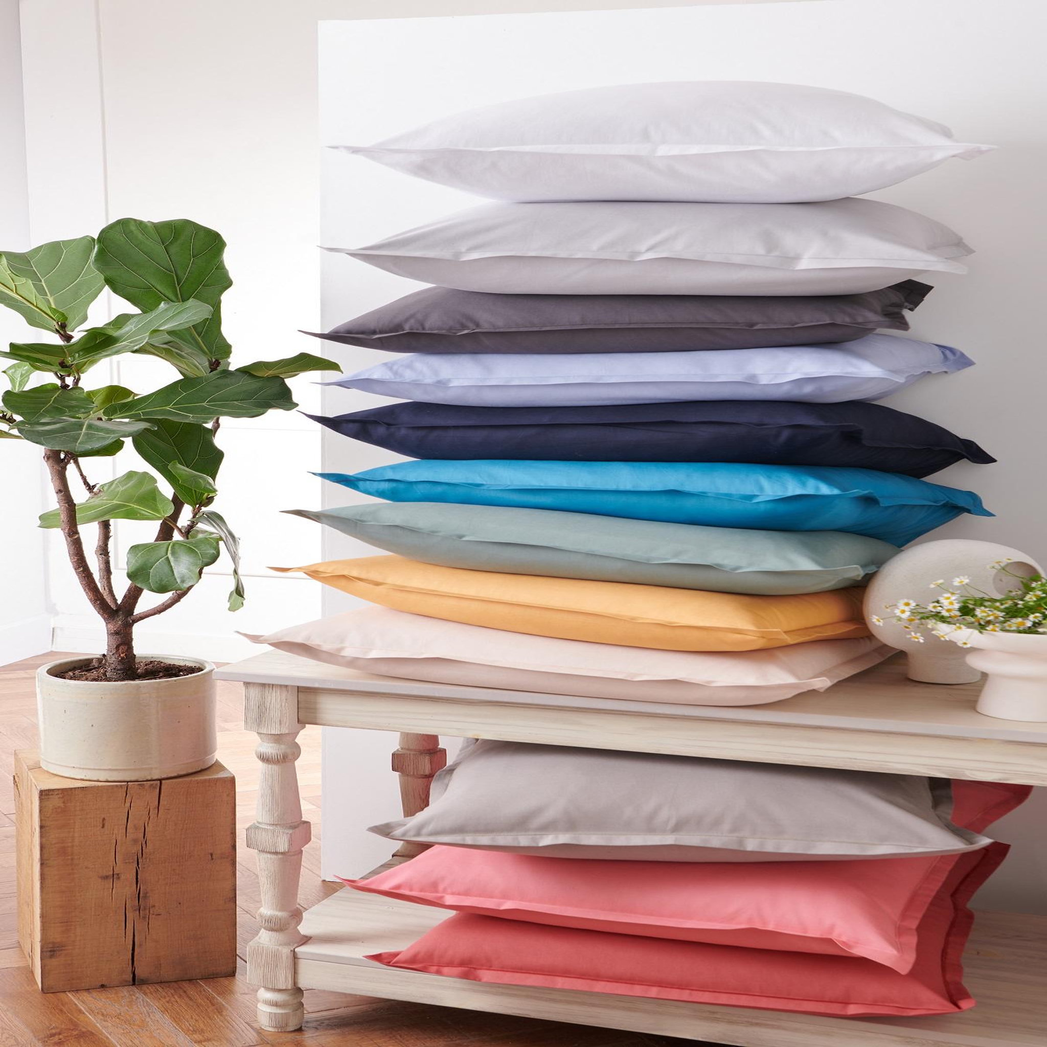 Voir la diapositive 2 : ACTUEL Taie d'oreiller unie en coton 57 fils - collection permanente