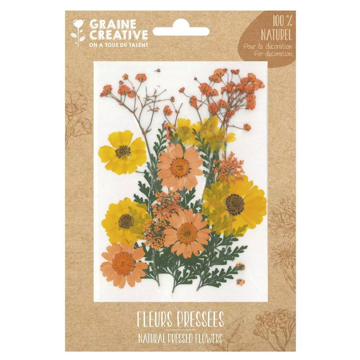 Graine créative 18 fleurs pressées - prairie jaune