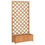 Voir la diapositive 2 : VIDAXL Jardiniere avec treillis marron bois massif de sapin