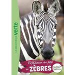WILD IMMERSION TOME 23 : EXPEDITION AU PAYS DES ZEBRES, Ruter Pascal