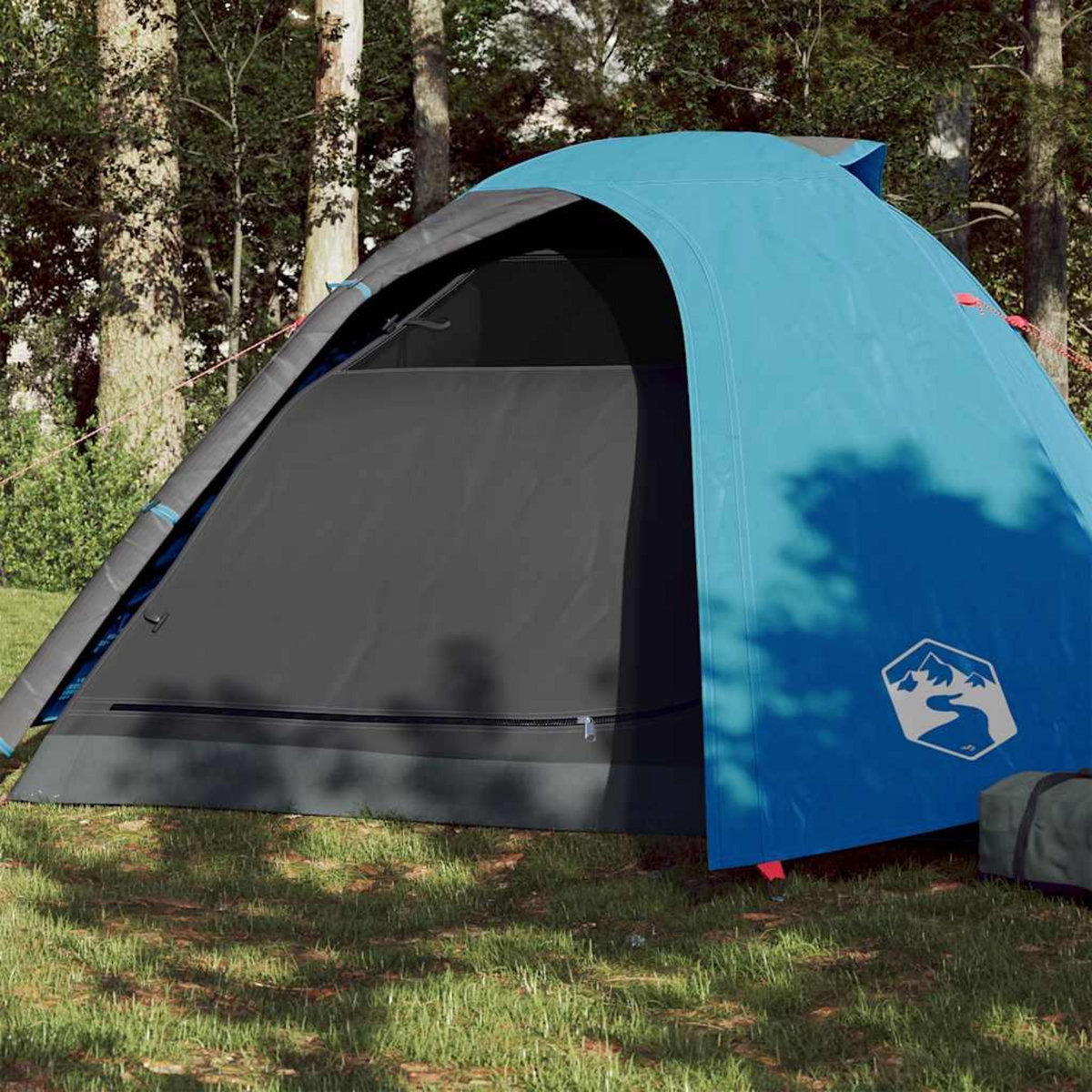 VIDAXL Tente de camping a dome 4 personnes bleu impermeable