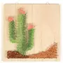 Graine créative Coffret cadre en bois String Art 22 x 22 cm - Cactus
