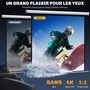 Voir la diapositive 4 : HOMCOM Écran de projection motorisé home-cinéma format 1:1 85 pouces 4K HD avec télécommande blanc noir