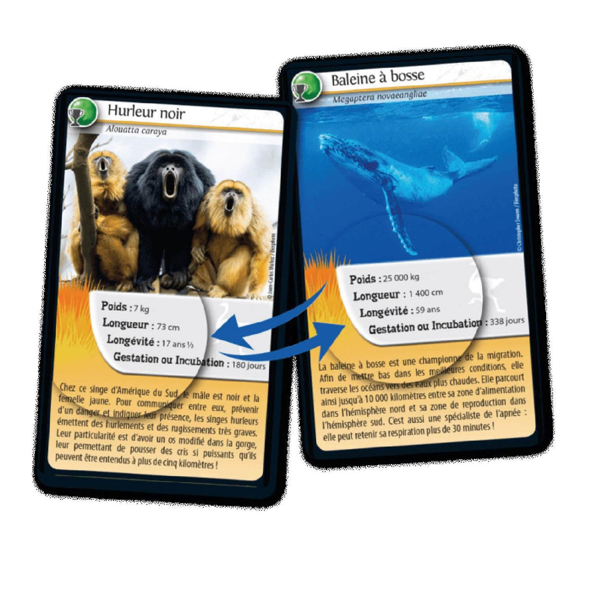 Bioviva Défis nature - records des animaux