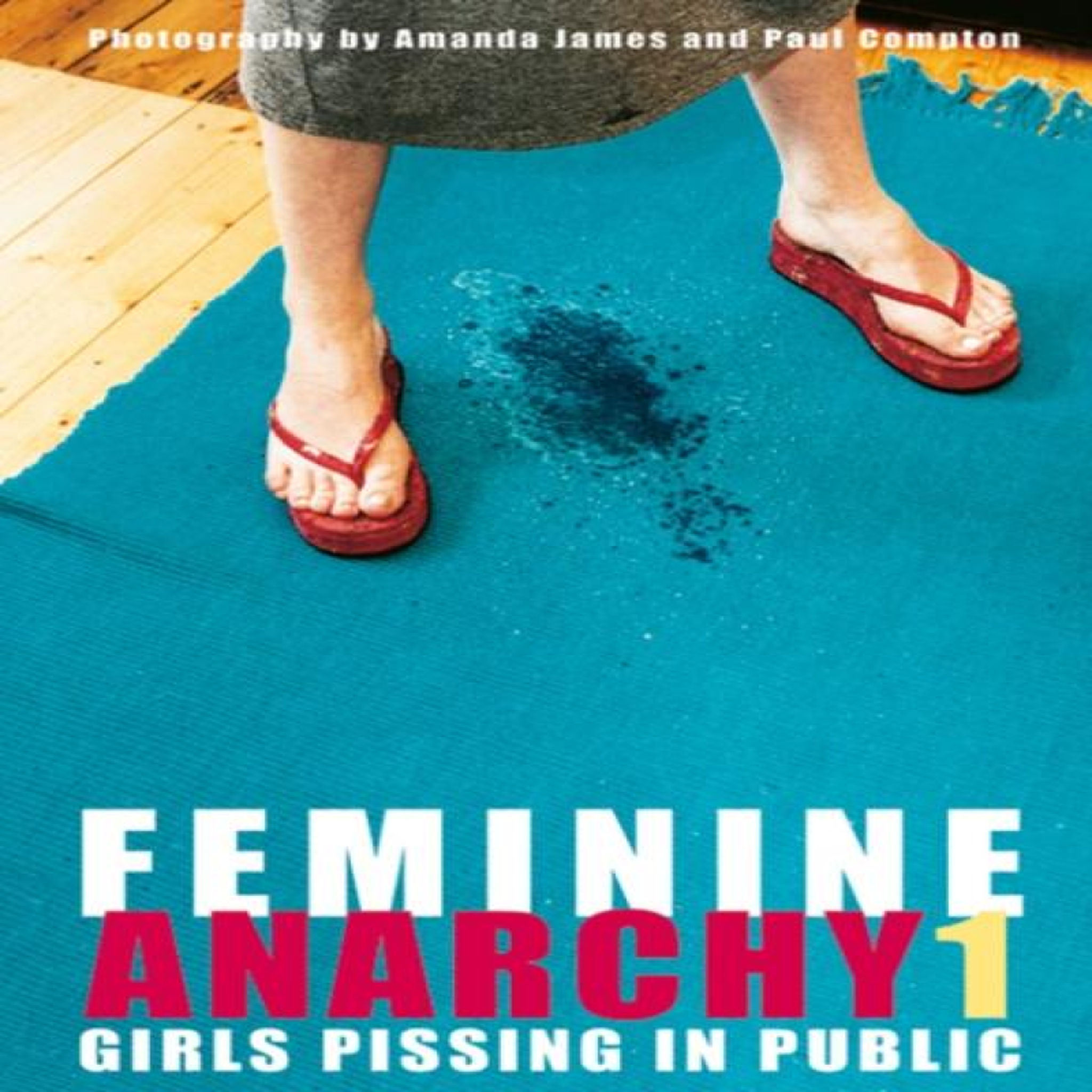 LIVRES Feminine Anarchy 1 - Paul Compton