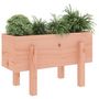 Voir la diapositive 3 : VIDAXL Jardiniere 62x30x38 cm bois massif douglas