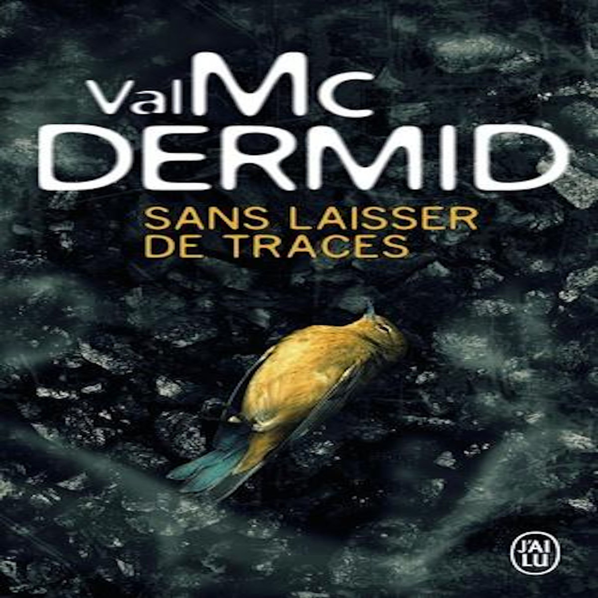 Sans laisser de traces, McDermid Val