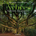 ARBRES. SECRETS DE GEANTS, Martin Francis