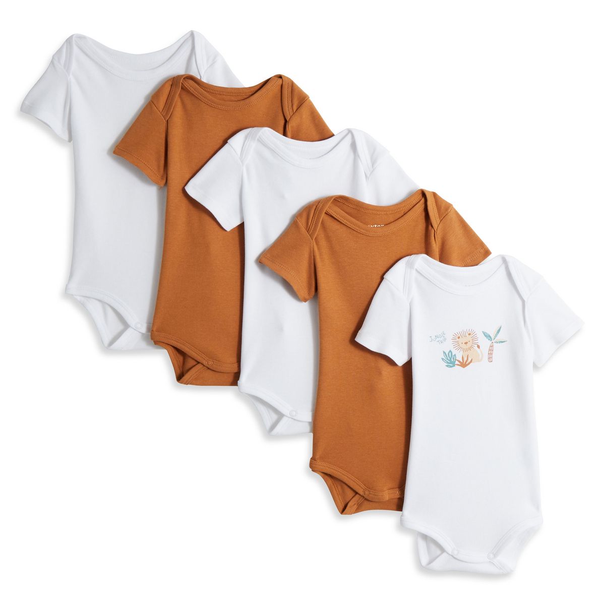 INEXTENSO Lot de 5 bodies manches courtes lion bébé garçon 