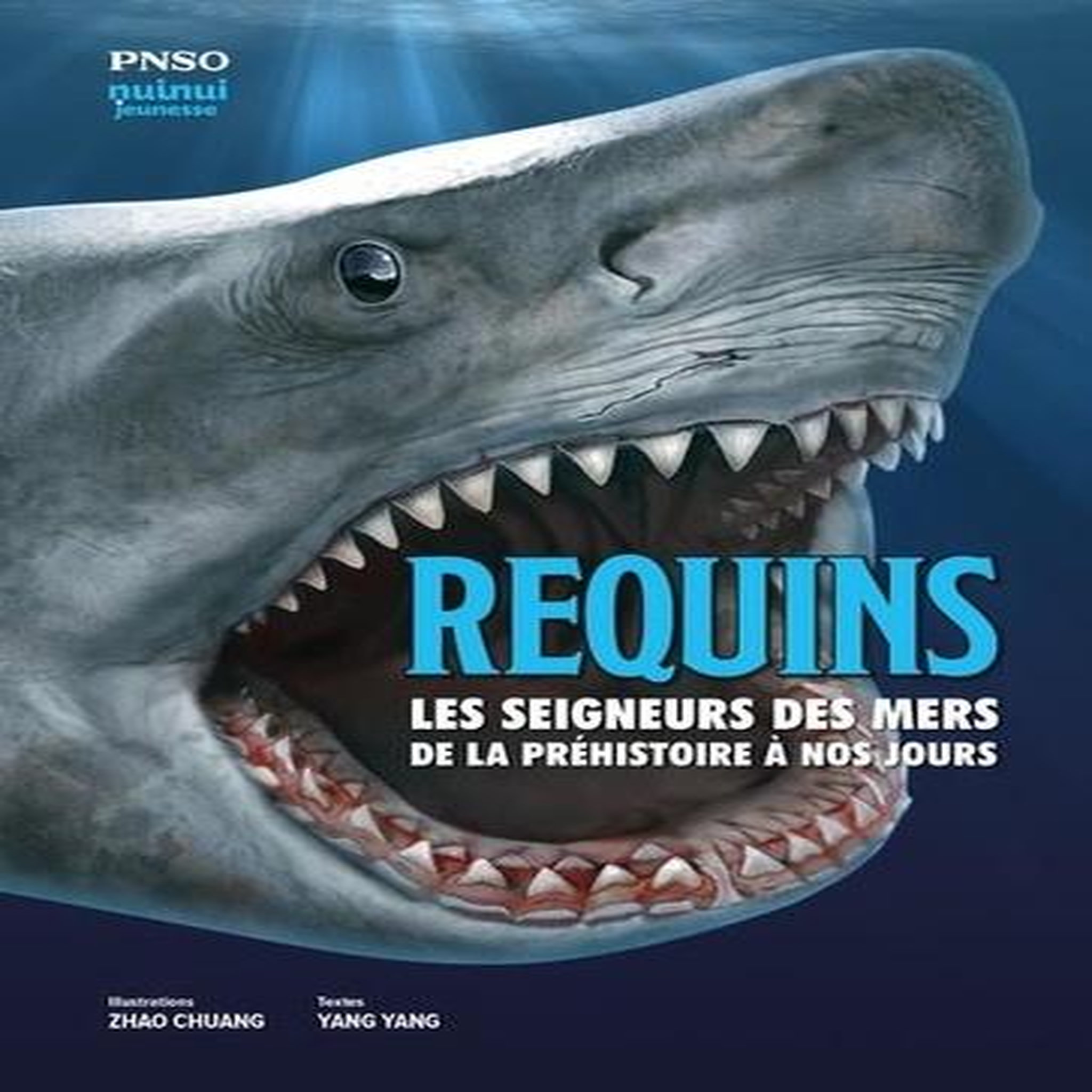 REQUINS. LES SEIGNEURS DES MERS DE LA PREHISTOIRES A NOS JOURS, Yang Yang