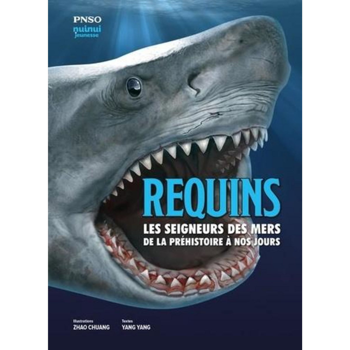 REQUINS. LES SEIGNEURS DES MERS DE LA PREHISTOIRES A NOS JOURS, Yang Yang