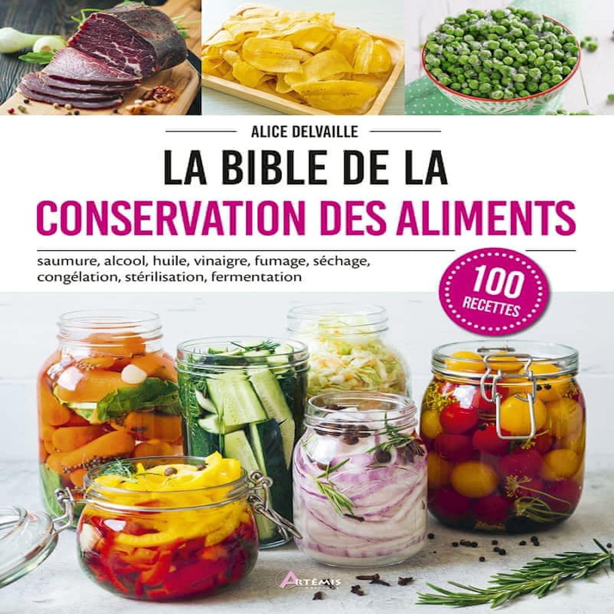 LA BIBLE DE LA CONSERVATION DES ALIMENTS, Delvaille Alice