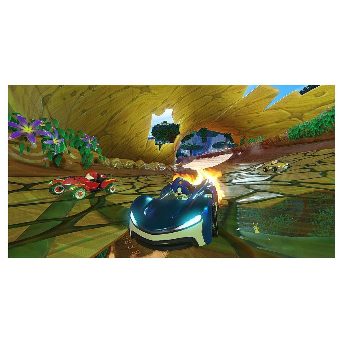 KOCH MEDIA Team Sonic Racing Code de Téléchargement Nintendo Switch