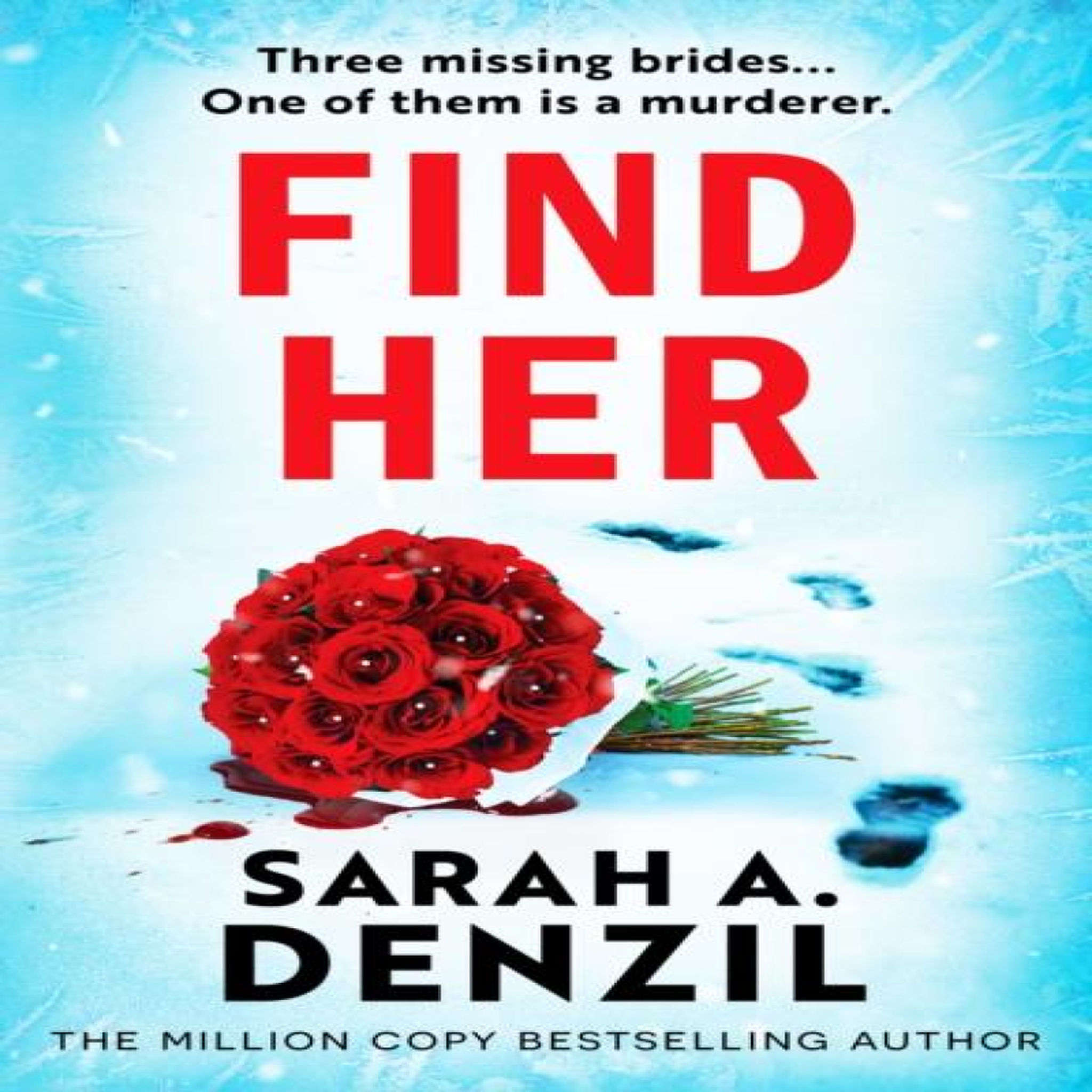 LIVRES Find Her - Sarah A. Denzil