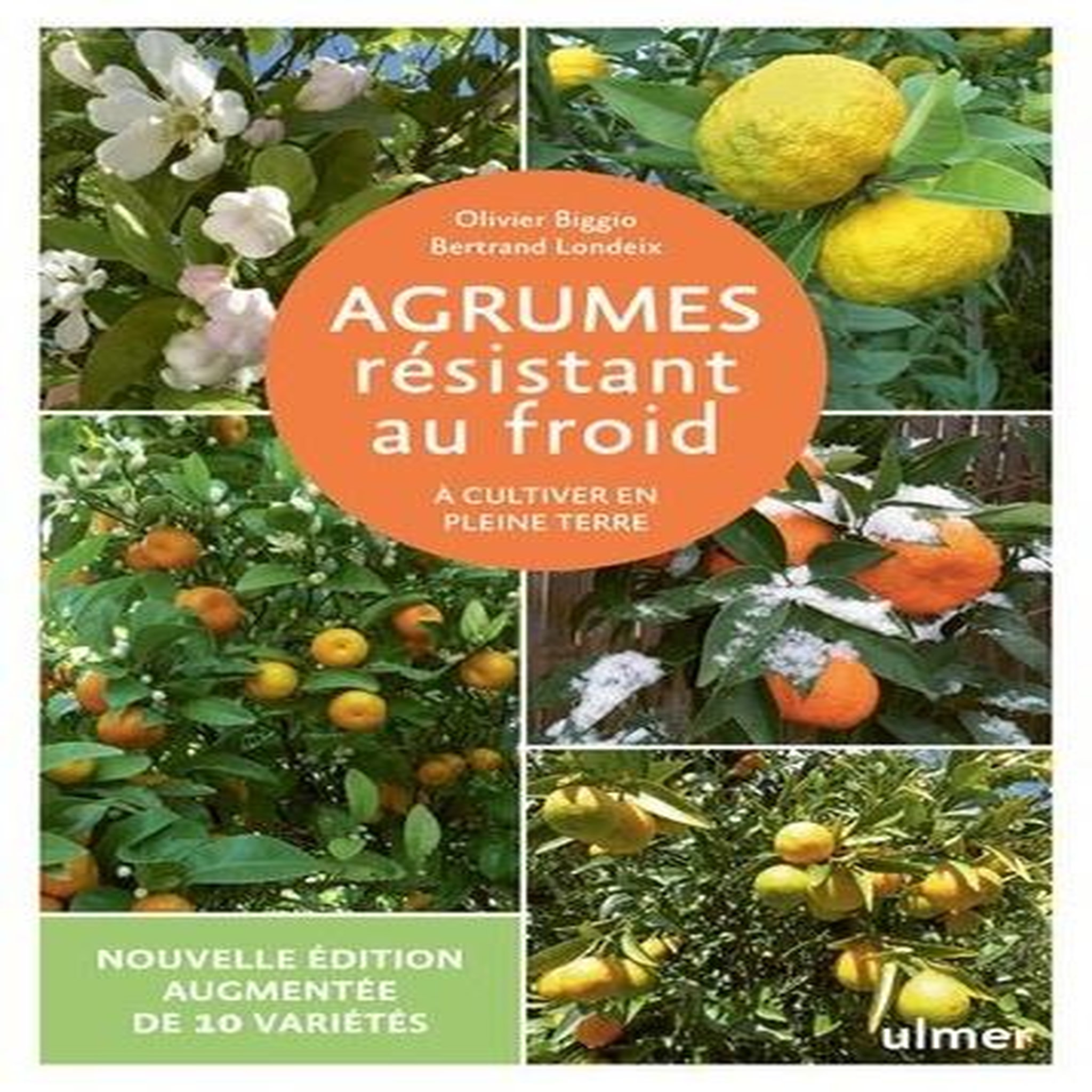 AGRUMES RESISTANT AU FROID. A CULTIVER EN PLEINE TERRE, EDITION REVUE ET AUGMENTEE, Biggio Olivier