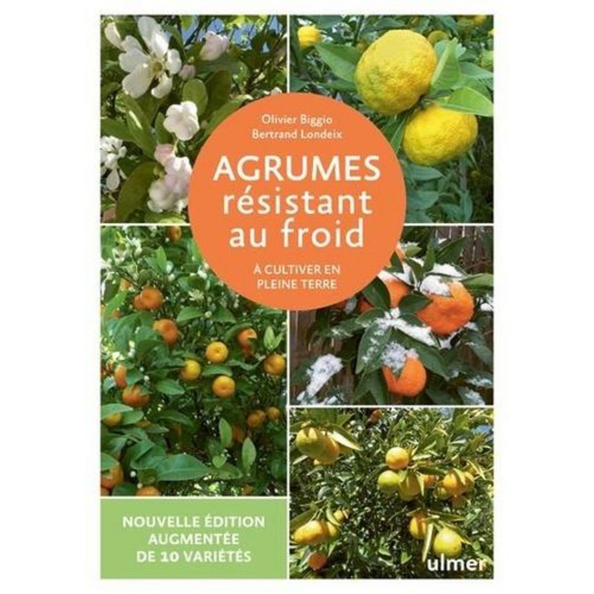 AGRUMES RESISTANT AU FROID. A CULTIVER EN PLEINE TERRE, EDITION REVUE ET AUGMENTEE, Biggio Olivier