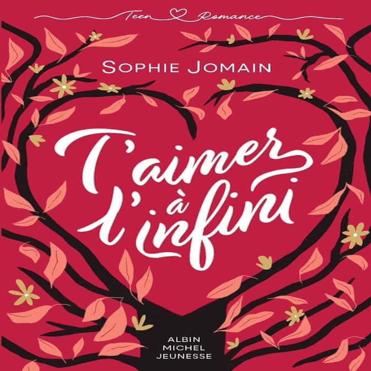 T'AIMER A L'INFINI, Jomain Sophie