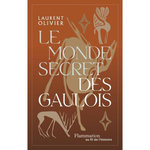 LE MONDE SECRET DES GAULOIS. UNE NOUVELLE HISTOIRE DE LA GAULE (IXE S. AV. J.-C. - IER S. APR. J.-C.), Olivier Laurent