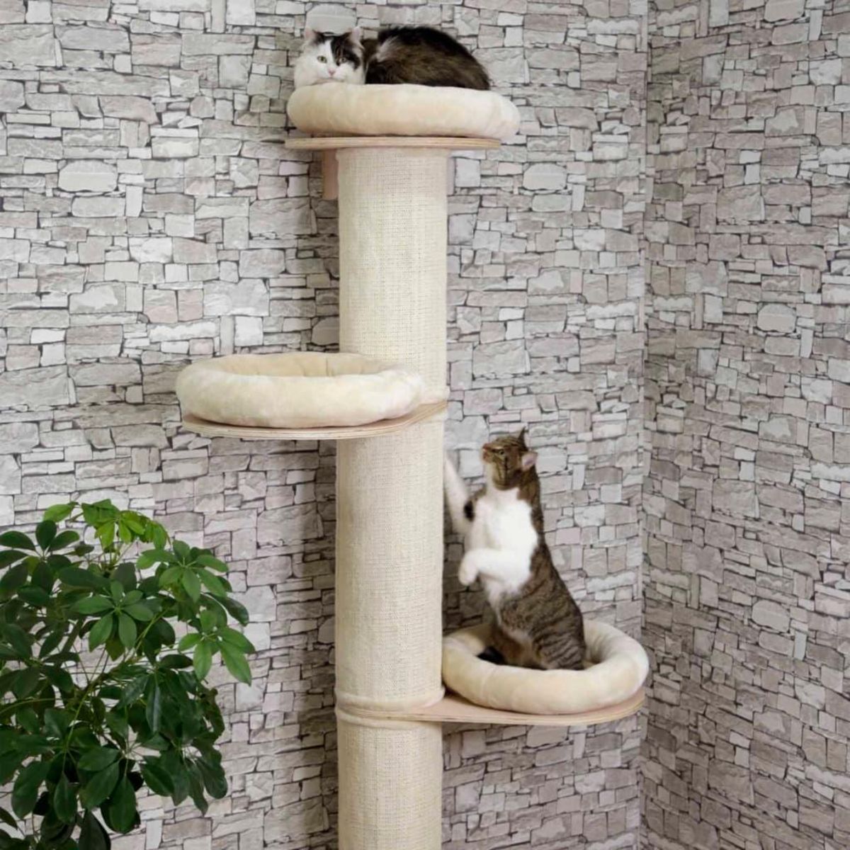 KERBL Kerbl Arbre a chats Dolomit Tower 187 cm Beige