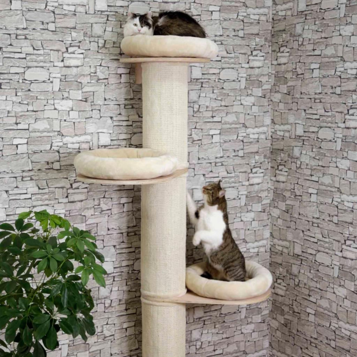 KERBL Kerbl Arbre a chats Dolomit Tower 187 cm Beige
