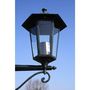 Voir la diapositive 3 : VIDAXL Lampadaire de jardin 2 bras 215 cm Vert fonce/Noir Aluminium
