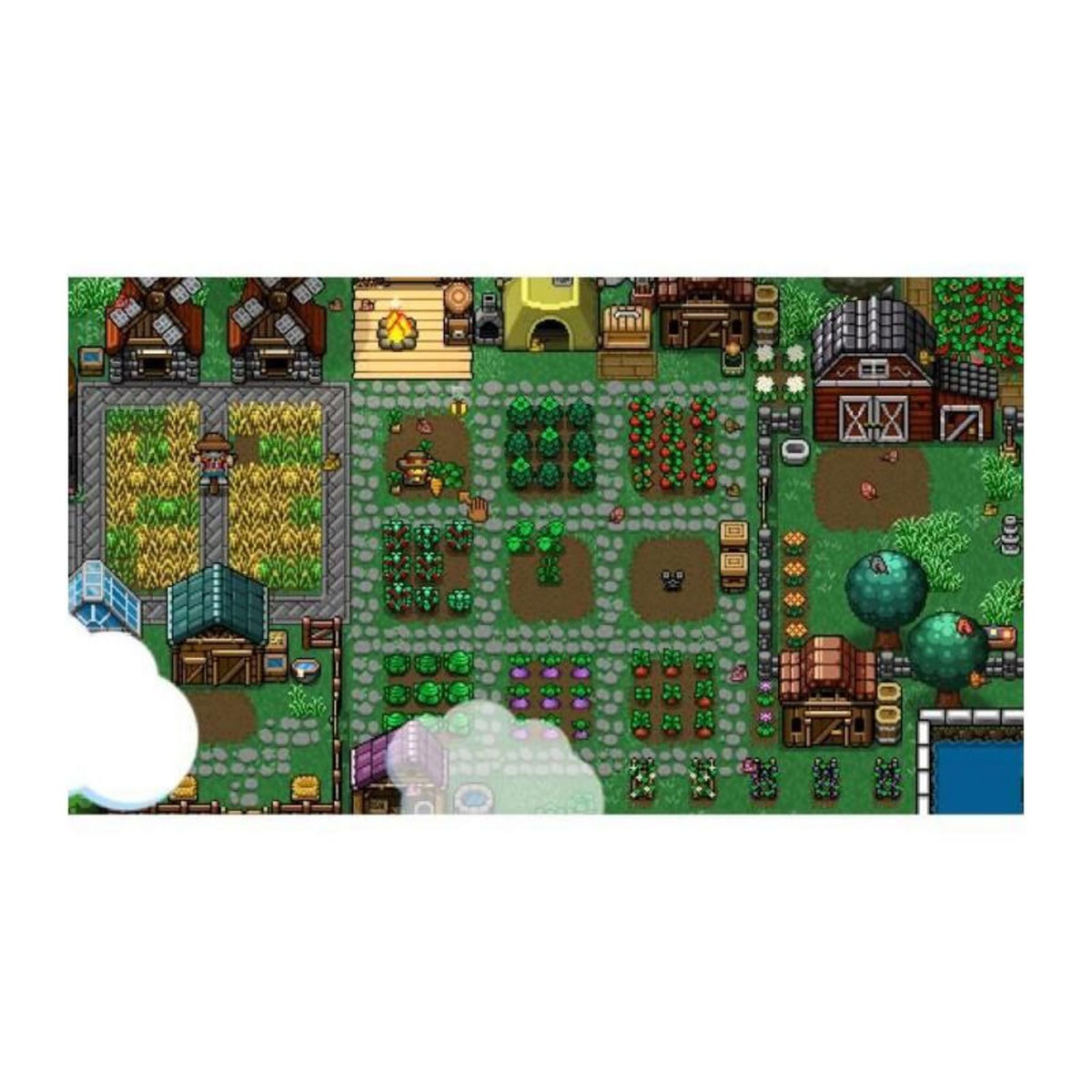 Just for games Cattle Country - Jeu Nintendo Switch