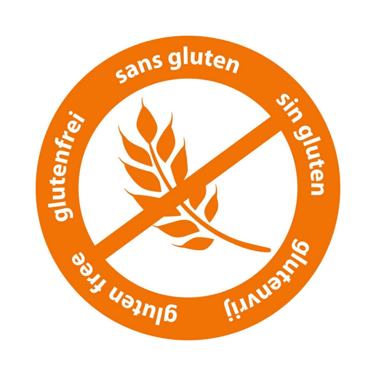 Pâte à modeler SES Creative My First kit méga