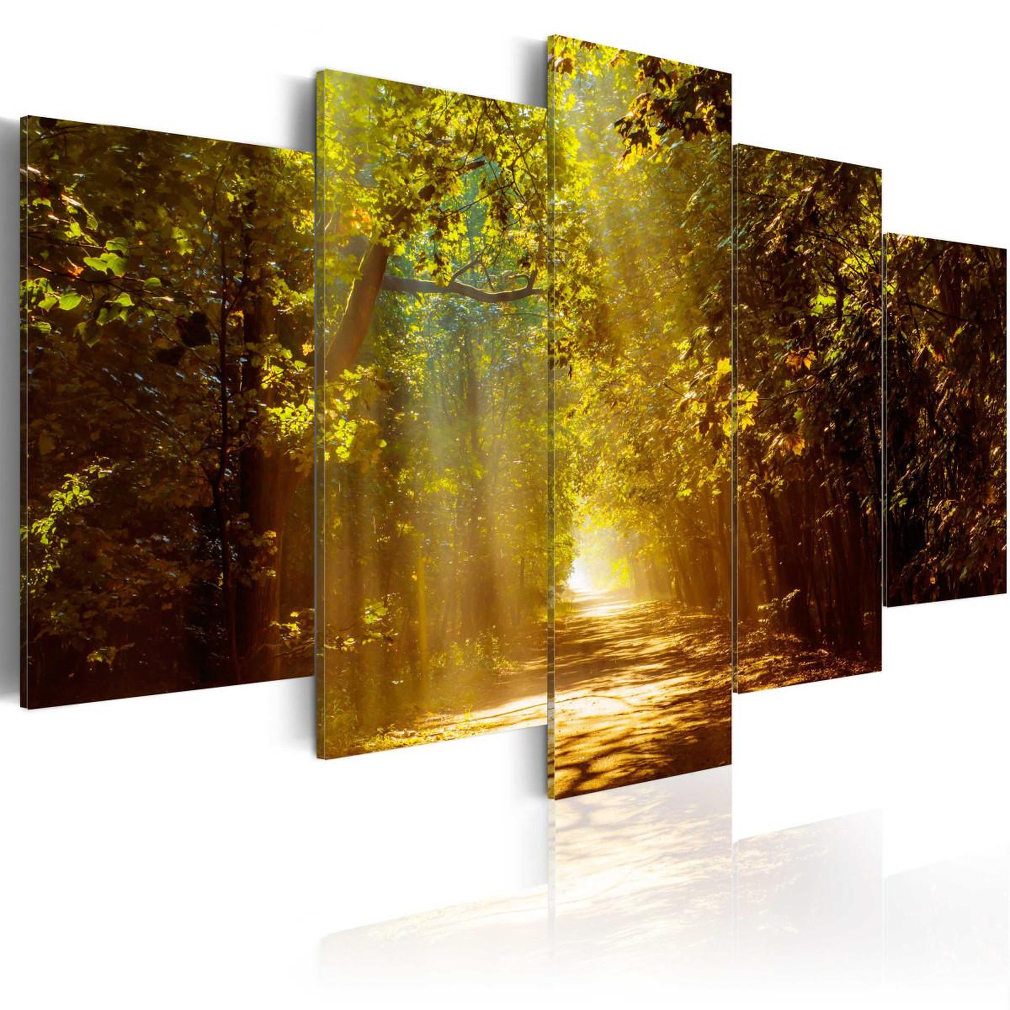 Paris Prix Tableau imprimé  forêt ensoleillée. Coloris disponibles : Multicolore