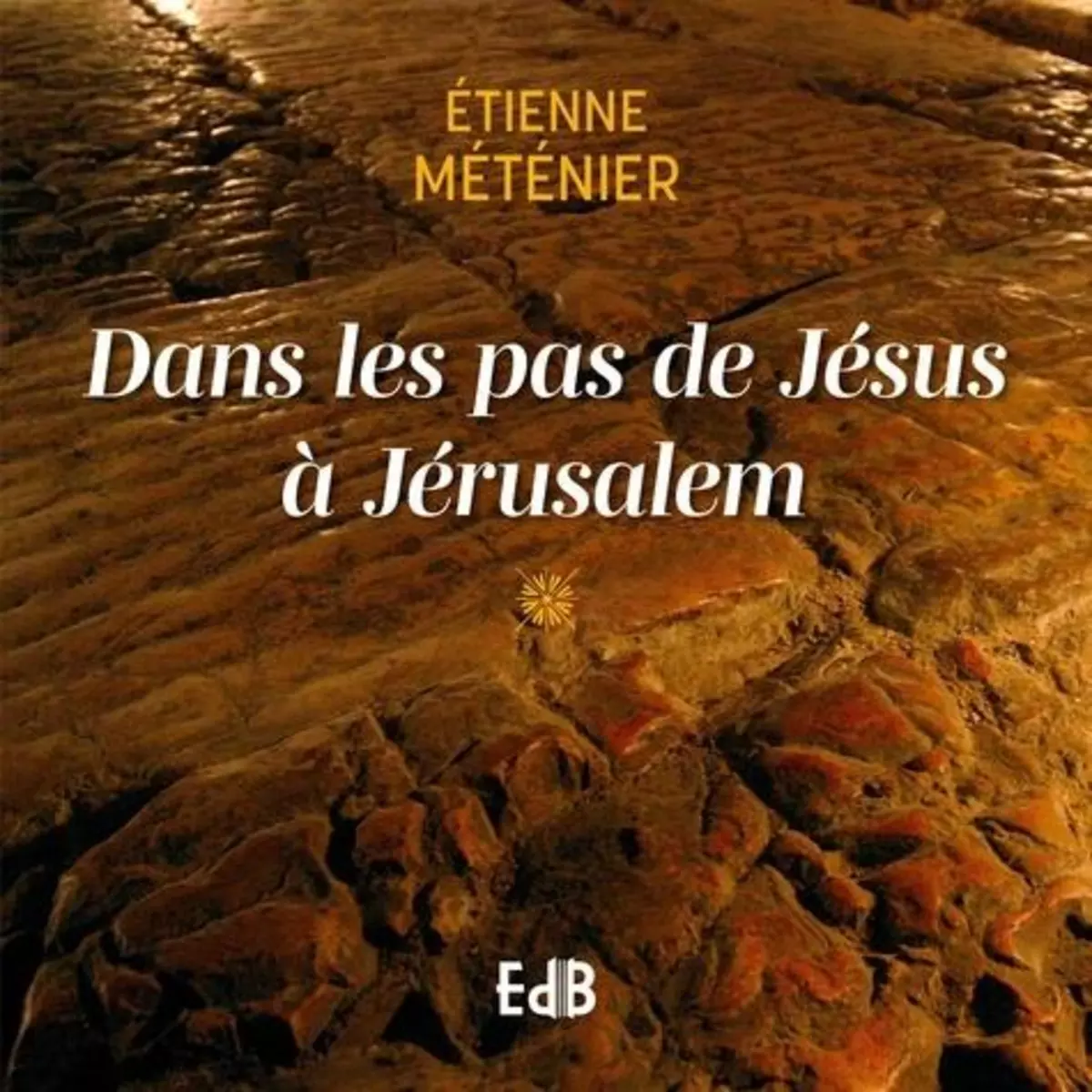  DANS LES PAS DE JESUS A JERUSALEM, Metenier Etienne