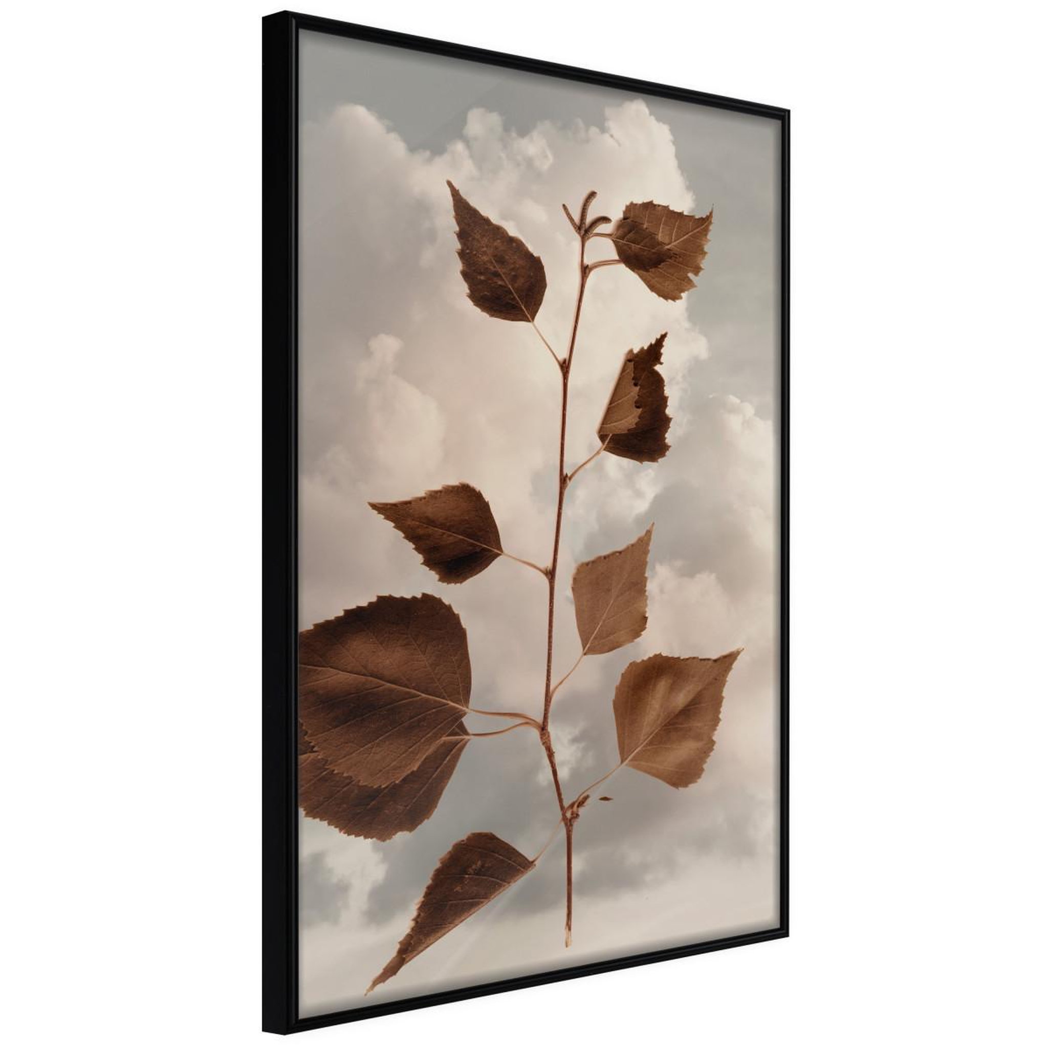 Paris Prix Affiche murale encadrée  leaves in the clouds. Coloris disponibles : Noir, Jaune
