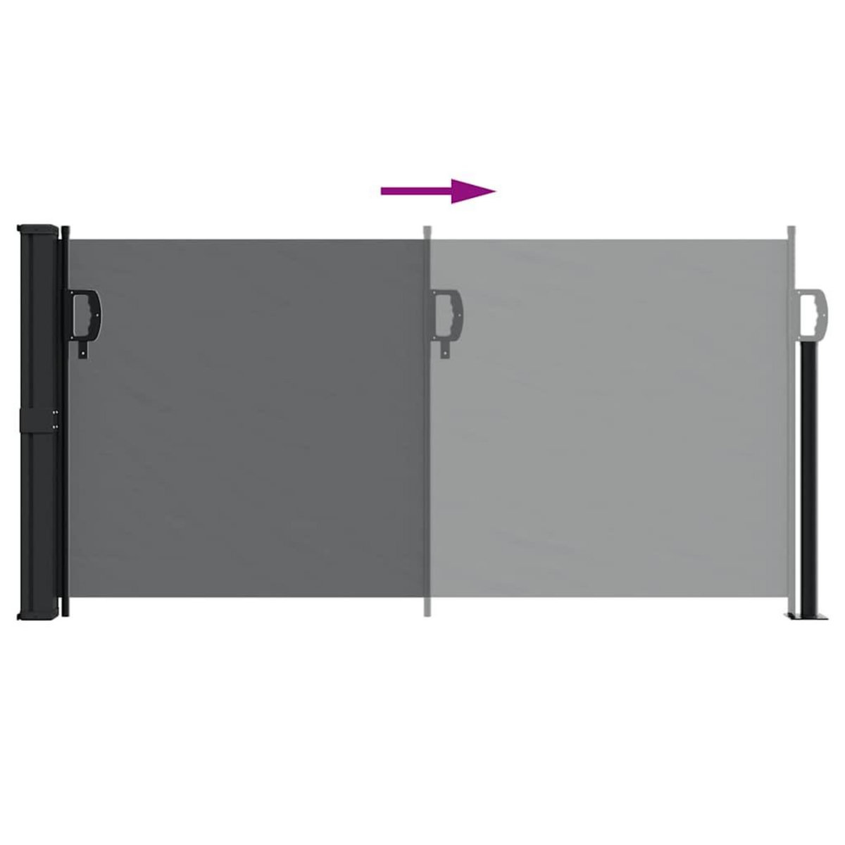 VIDAXL Auvent lateral retractable noir 100x300 cm