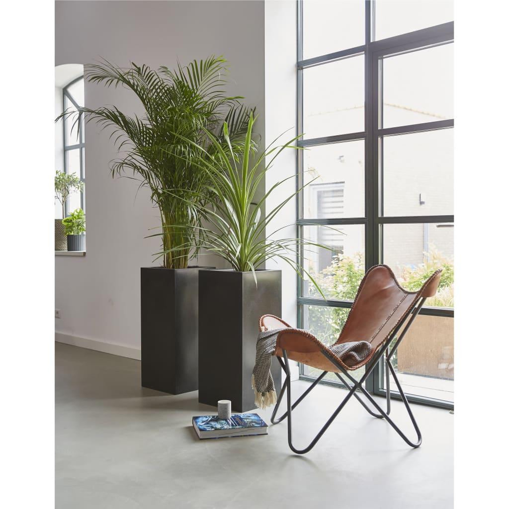 Voir la diapositive 3 : CAPI Capi Jardiniere Urban Smooth Rectangulaire 36 x 79 cm Noir