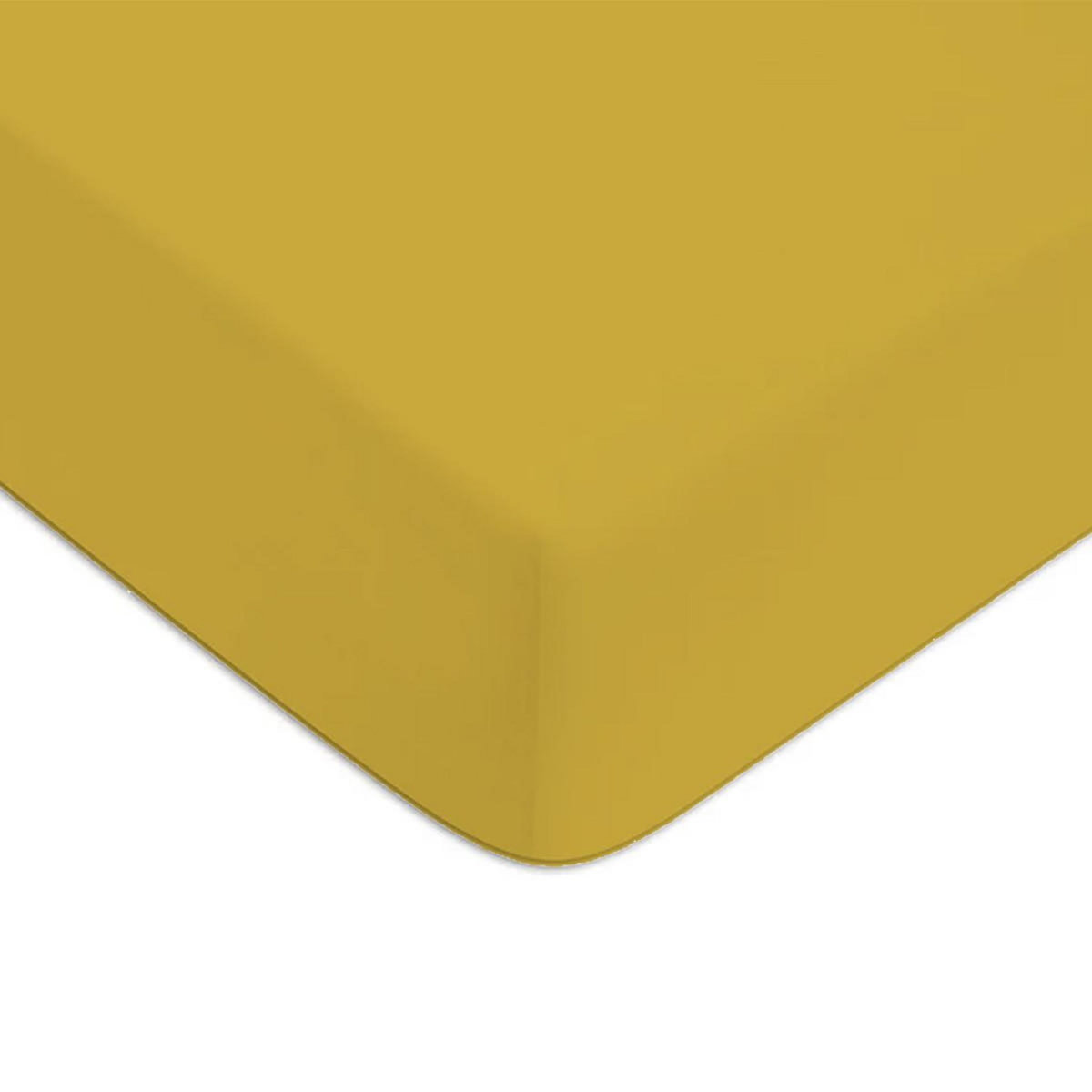 FUTURE HOME Drap housse en coton 57 fils uni bonnet 25cm