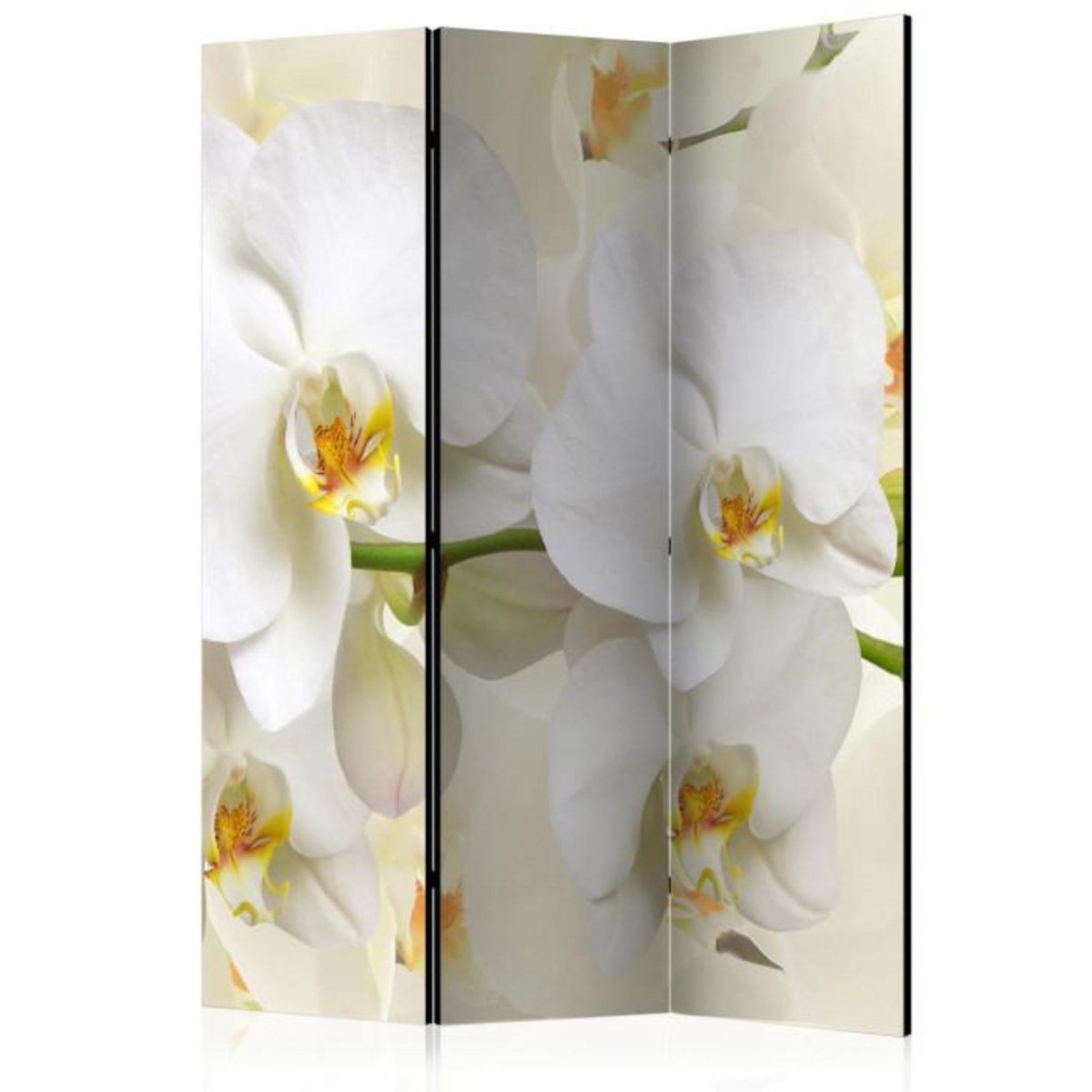 Paris Prix Paravent 3 Volets  Orchid Branch  135x172cm