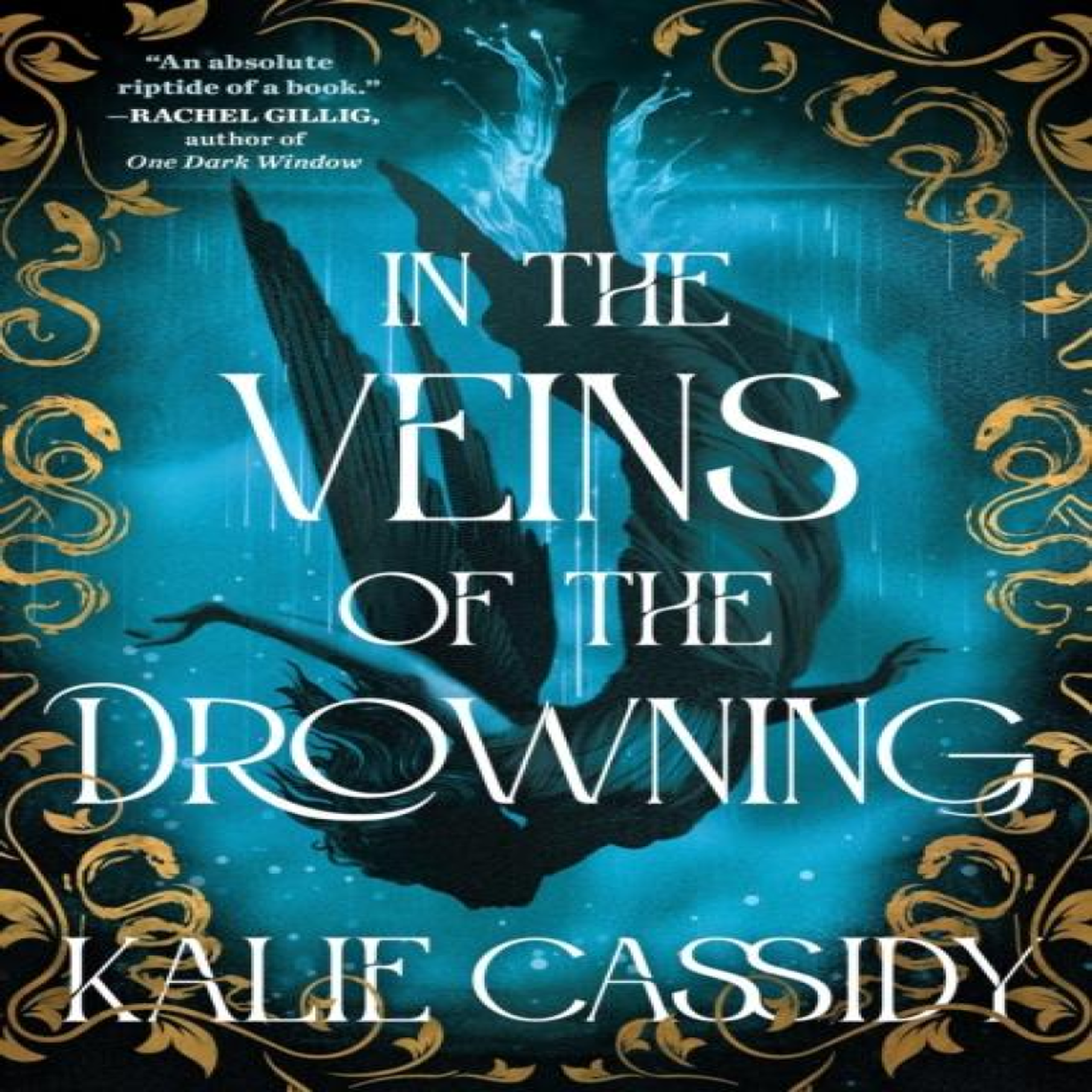LIVRES In the Veins of the Drowning : An 'atmospheric and evocative' (Rachel Gillig) dark romantasy debut, out now!