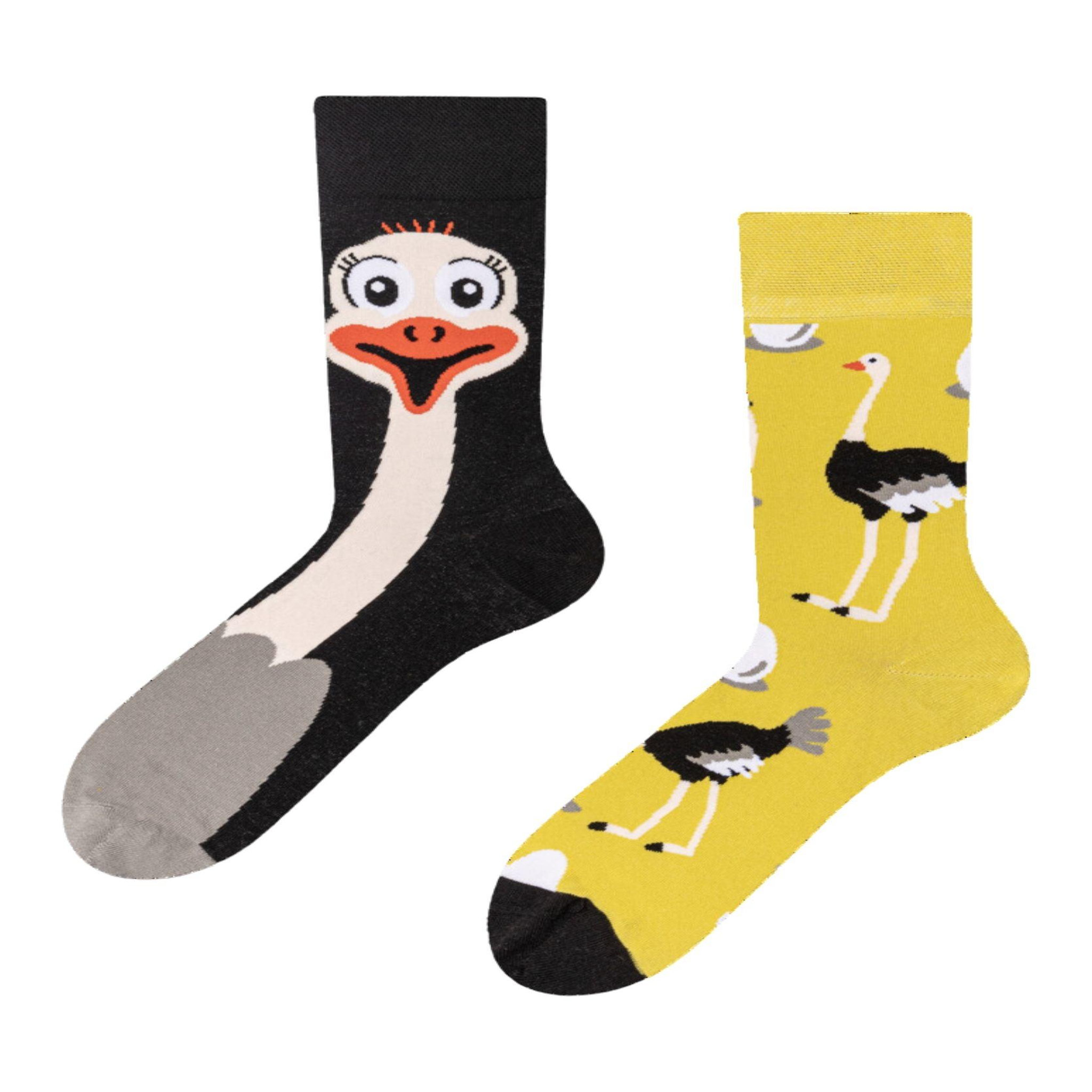 DEDOLES Chaussettes autruche. Coloris disponibles : Multicolore