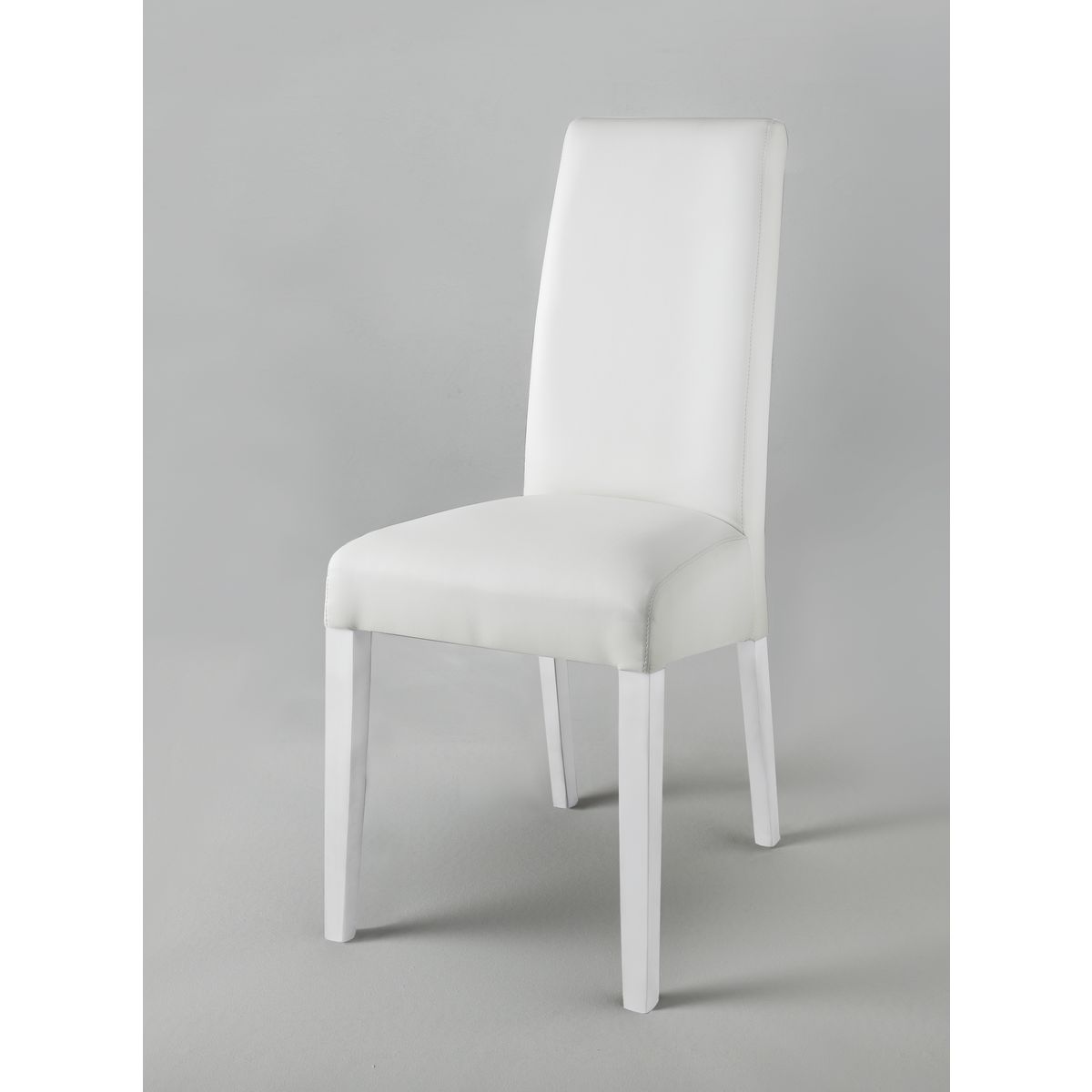 Lot de 2 chaises de s&#xE9;jour salle &#xE0; mager modernes MARIA