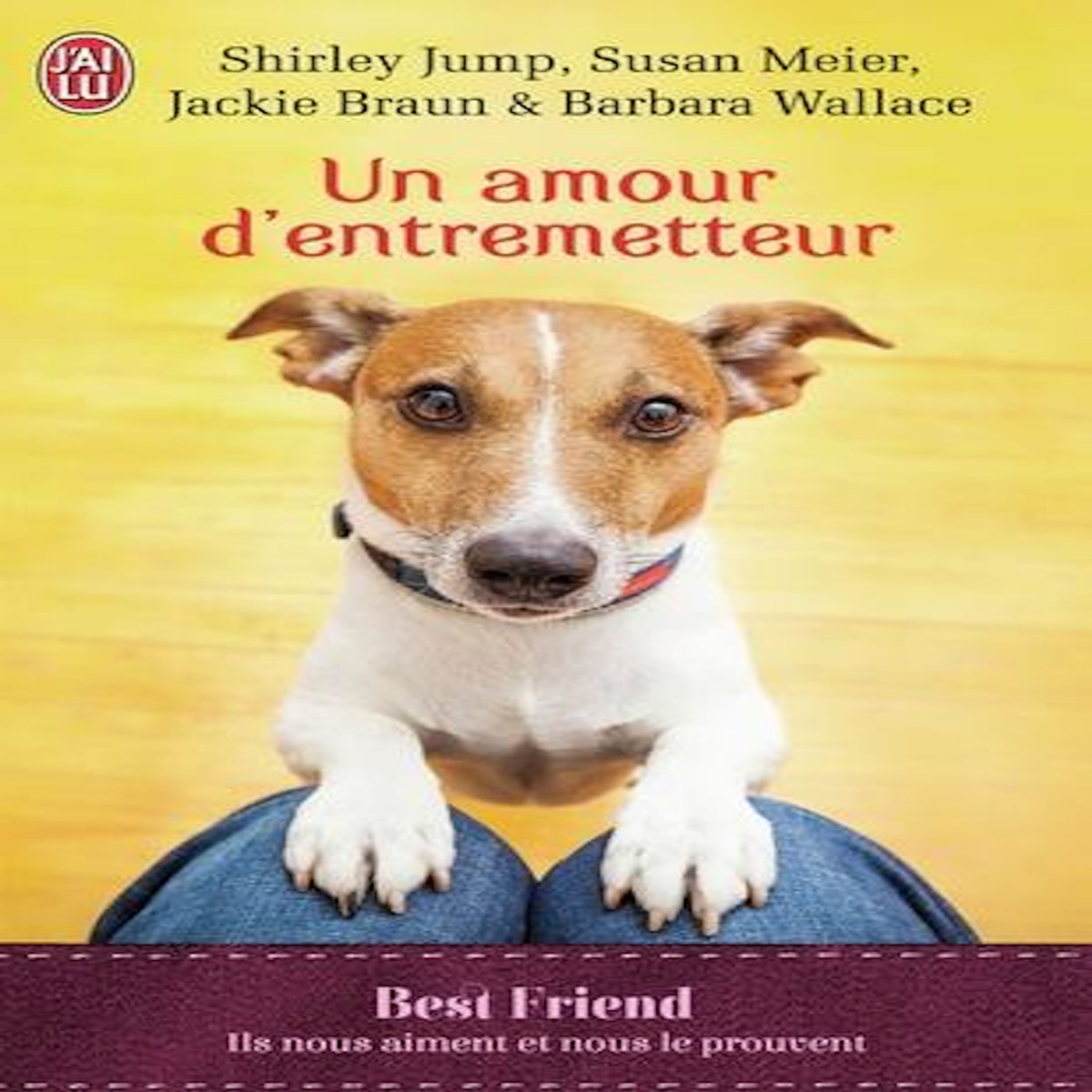 UN AMOUR D'ENTREMETTEUR, Jump Shirley