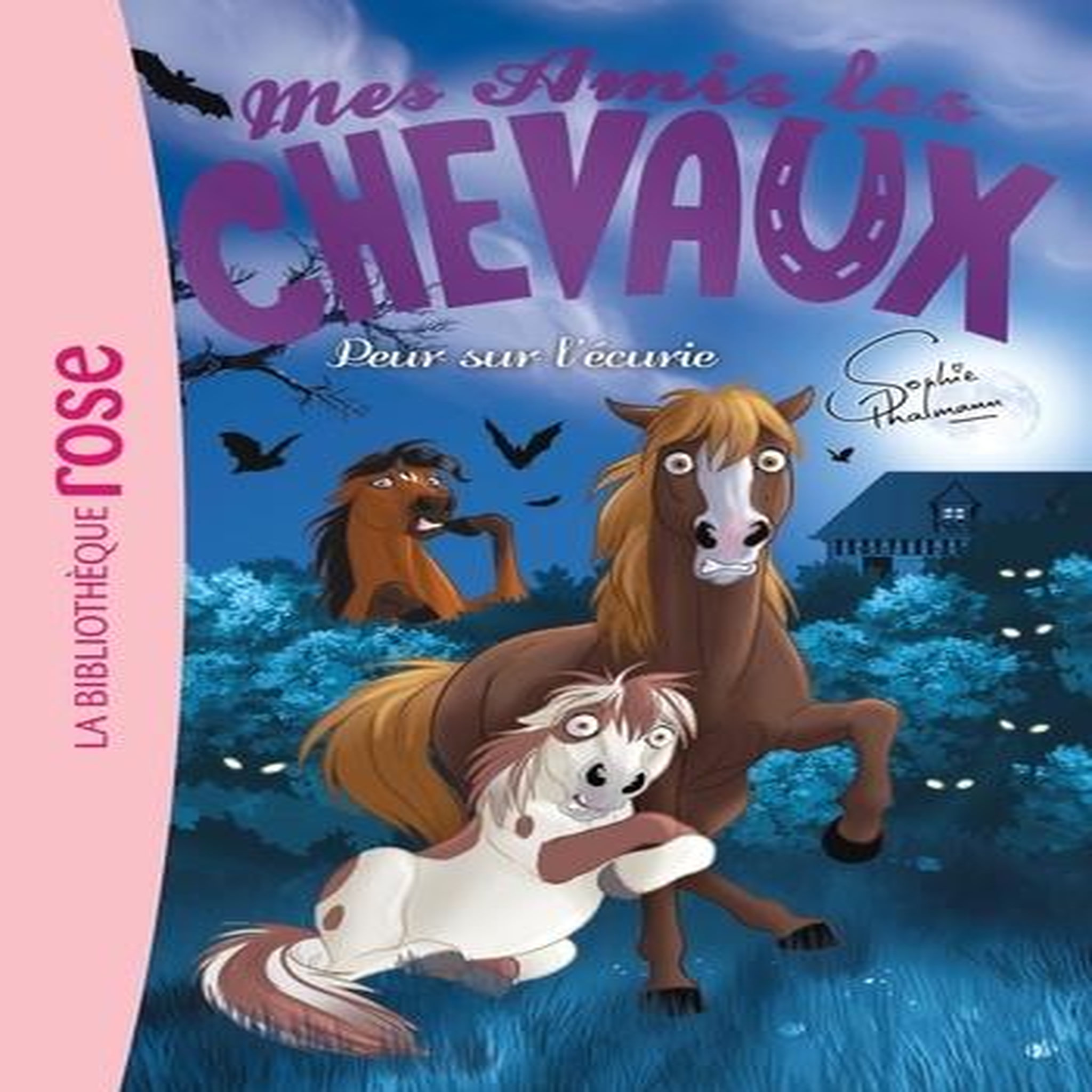 MES AMIS LES CHEVAUX TOME 11 : PEUR SUR L'ECURIE, Thalmann Sophie